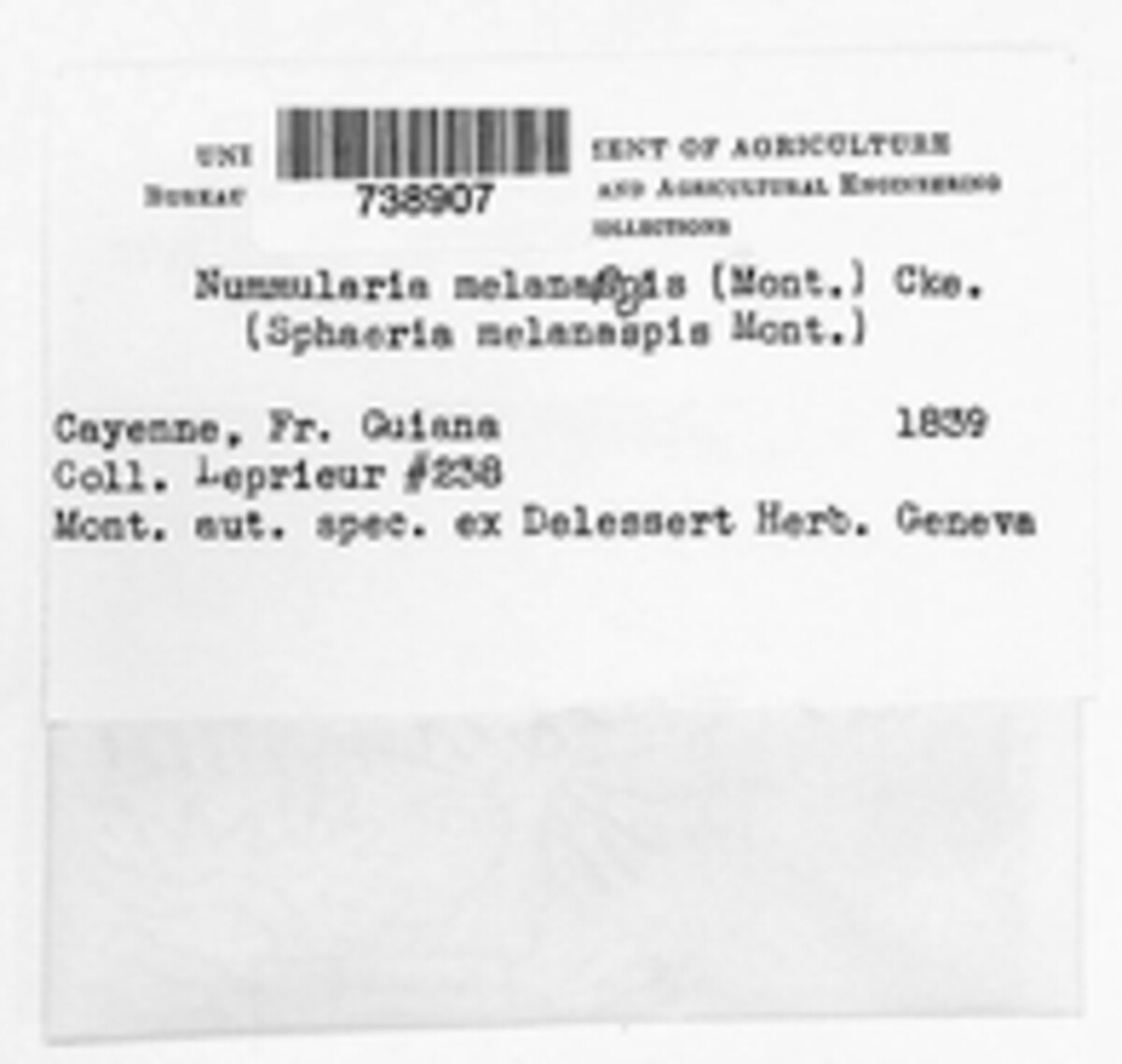 Hypoxylon melanaspis image